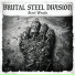Brutal Steel Division