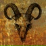 Anomy5