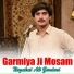 Nazakat Ali Zardari