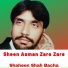 Shahenshah Bacha