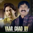 Akram Faridi, Sajjad Faridi