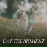 Music for Relaxing Cats