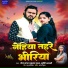 Jail Star Ahmad Raja, Shrushti Bharti
