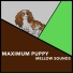 Dogs Music Therapy, Dog's Music, Zen Dog