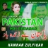 Kamran Zulfiqar