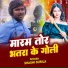 Shashi Surila