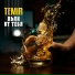TEMIR