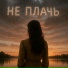 Максим Непомнящих