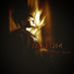 SAAP 1214