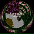 Stereoimagery