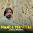 Ali Raza Kharani