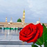 Qari Rizwan Ullah