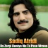 Sadiq Afridi