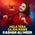 Kashan Ali Meer