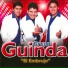 Grupo Guinda