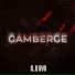 LIM
