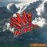 Sonek