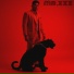 mr.xxx