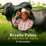 Braulio Palma