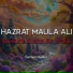 Salman Haider