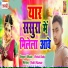 Vishal Babu Jha