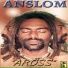 ANSLOM