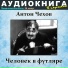 Аудиокнига в кармане