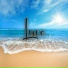 Luce