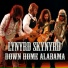 Lynyrd Skynyrd