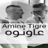 Amine Tigre