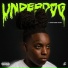 lil westside
