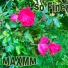 Maxmm