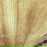 Notion A