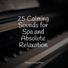 Concentration Study, Calm shores, Piano Tranquil