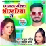 Rahul Pandey, Shilpi Raj
