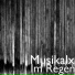 Musikalx