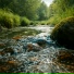 Velune, Nature Sounds