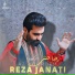 Reza Janati