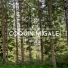 Coquin Migale