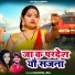 Rachna Jha
