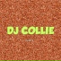 Dj collie