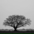 WOWWW, The Chillout Lofi Lab, Lofi Chillout Co.