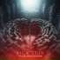 Nick Lein