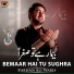 Farhan Ali Waris