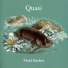 Quasi