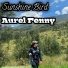 Aurel Fenny