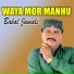 Babal Jamali