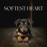 Dog Music TA