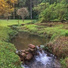 Relaxing Acoustic Guitar Nature