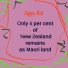 Zippy Kid